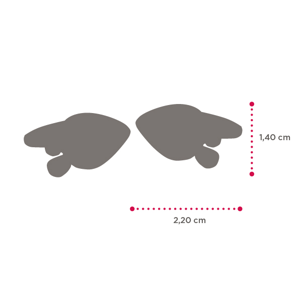 Gemelli da polso - PALA FICO D’INDIA - Isola Bella - immagine 2